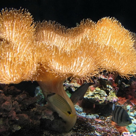 Seattle Aquarium