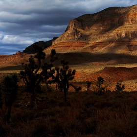 ..::Grand Canyon, West::..2