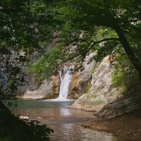 Някъде навътре в гората...