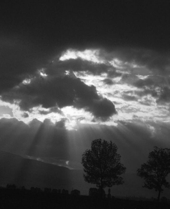 Enchanting Sunlight