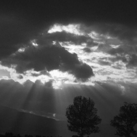 Enchanting Sunlight