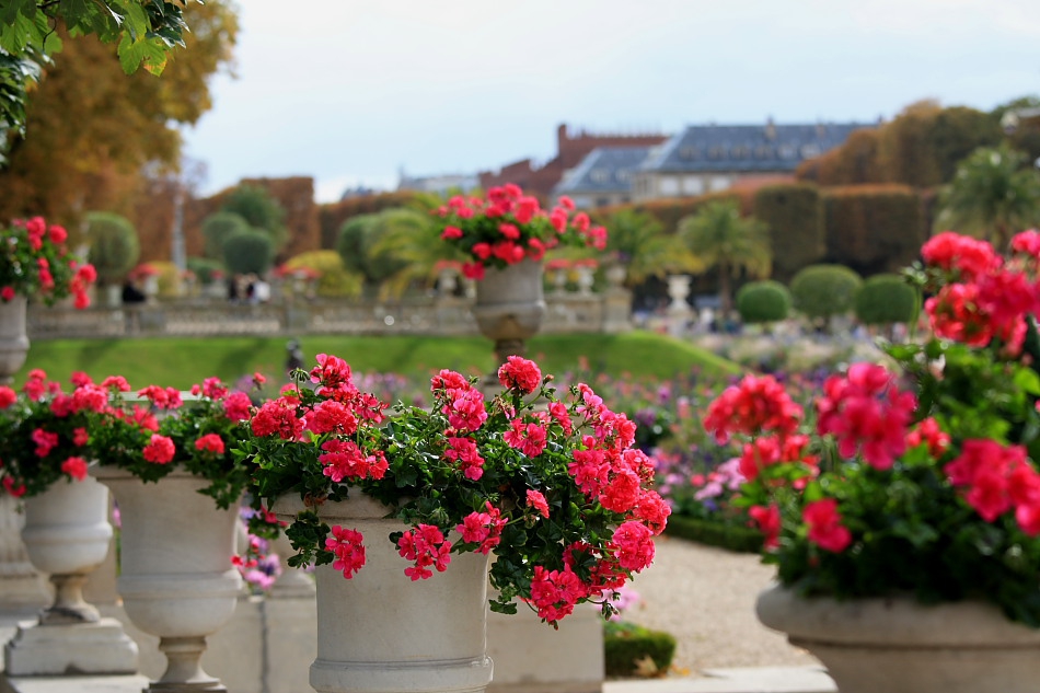 Jardin du Luxembourg
