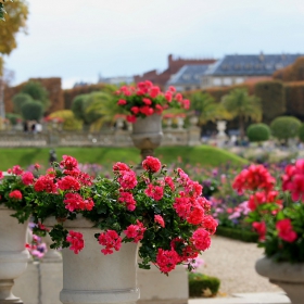 Jardin du Luxembourg