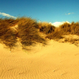 sand in my shoes