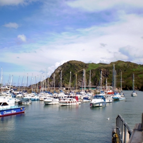 Ilfracombe Harbour 2