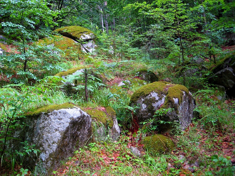Зелено