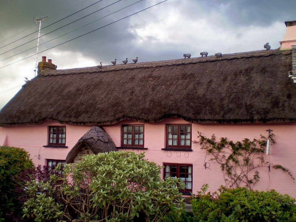 Thatched roof