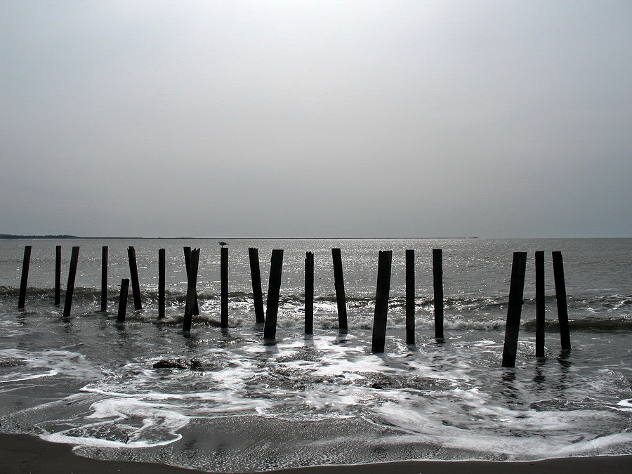 Ozean Shore