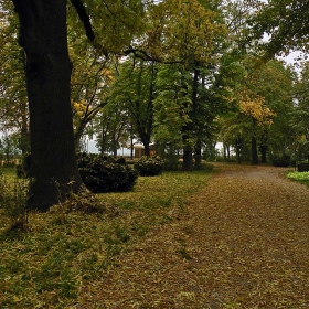 Есен в Градската градина