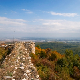 Лютица