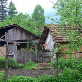 някъде из еленския балкан