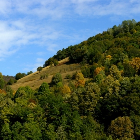 Есен Рибарица