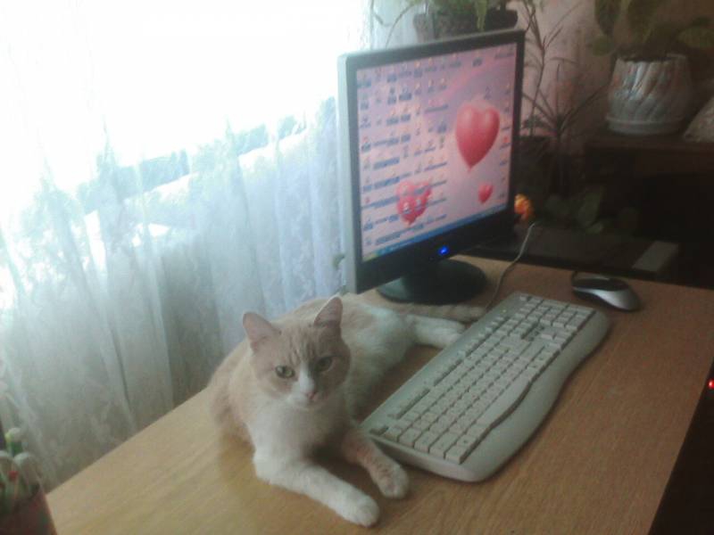 почивка