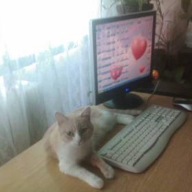 почивка