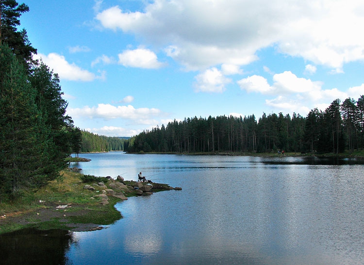 Очакване