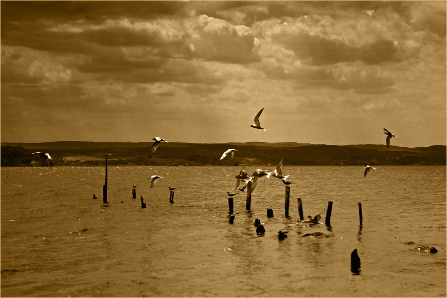 Flying ...