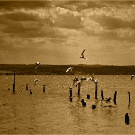 Flying ...