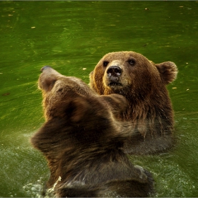 Снимка без име
