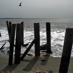 Ozean Shore