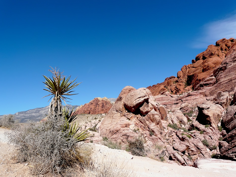 Red Rock 2
