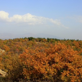 Есен  край  Мегалита . . .