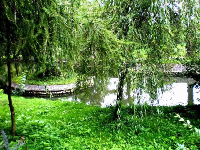 Зеленината на България.