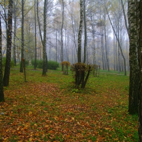   Утро в парка