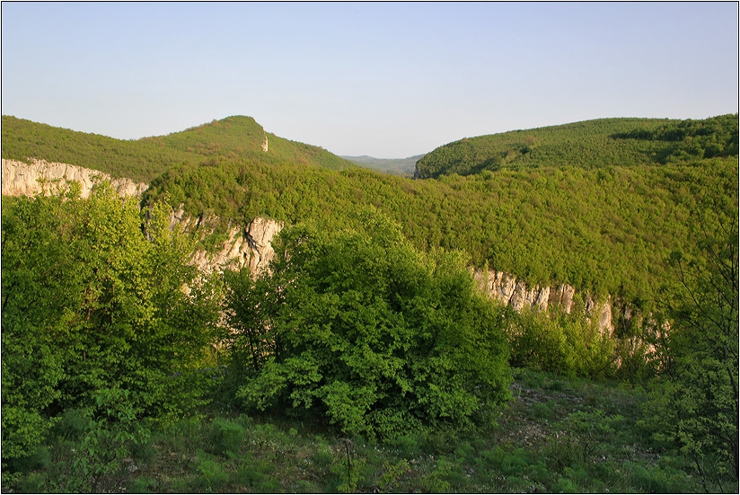 Боруна