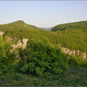 Боруна