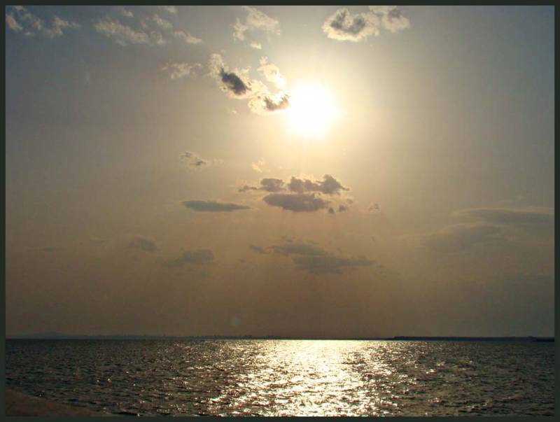 Морско златно