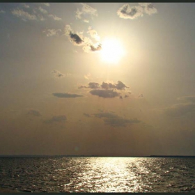Морско златно