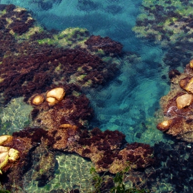 paradise