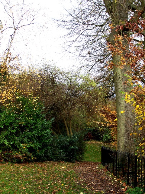 Autumn fairytale