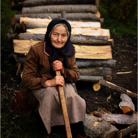 сървайвър (цв.)