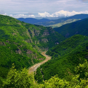 Буйна и мътна (река Арда)