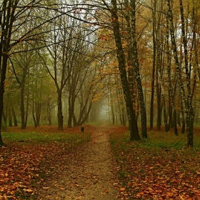 Златна есен.