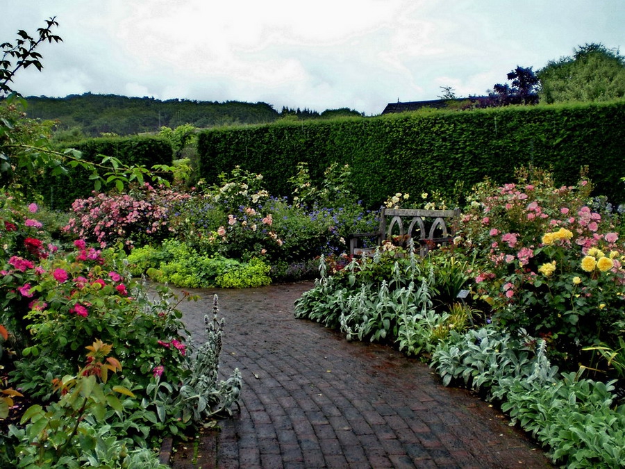 Rose Garden