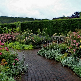 Rose Garden