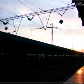 Going Home