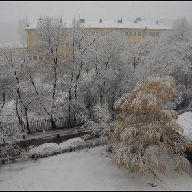 Първи сняг