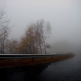 The road and the fog