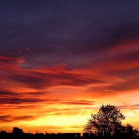 Изгревът 21-11-2008