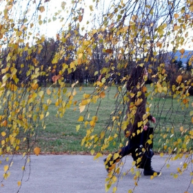 Фото-сесия на красотата  (Последният есенен ден в София, 21.11.2008 -12:20 часа) – 3