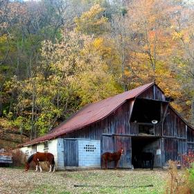 Fall in Tennessee