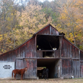 Country style