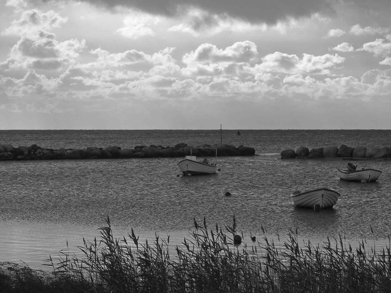 The port