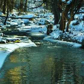 Рекичката