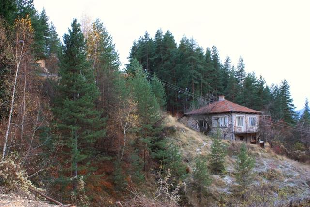 Borovo