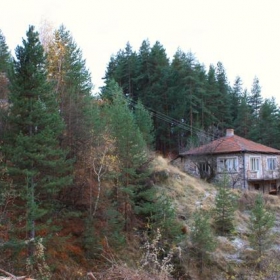 Borovo