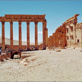 Palmyra...